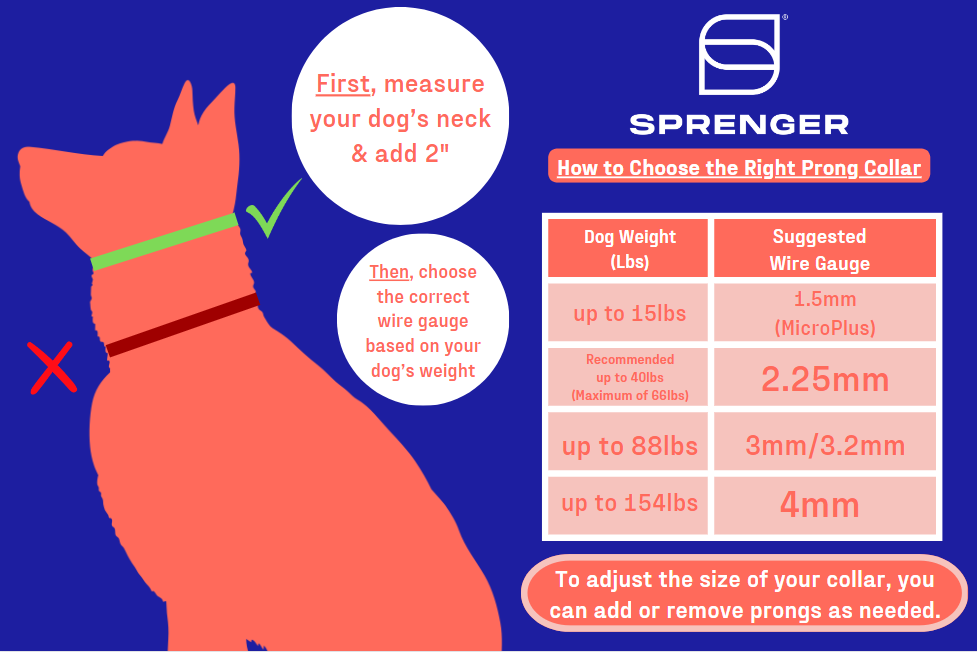 Sizing prong collar cheap