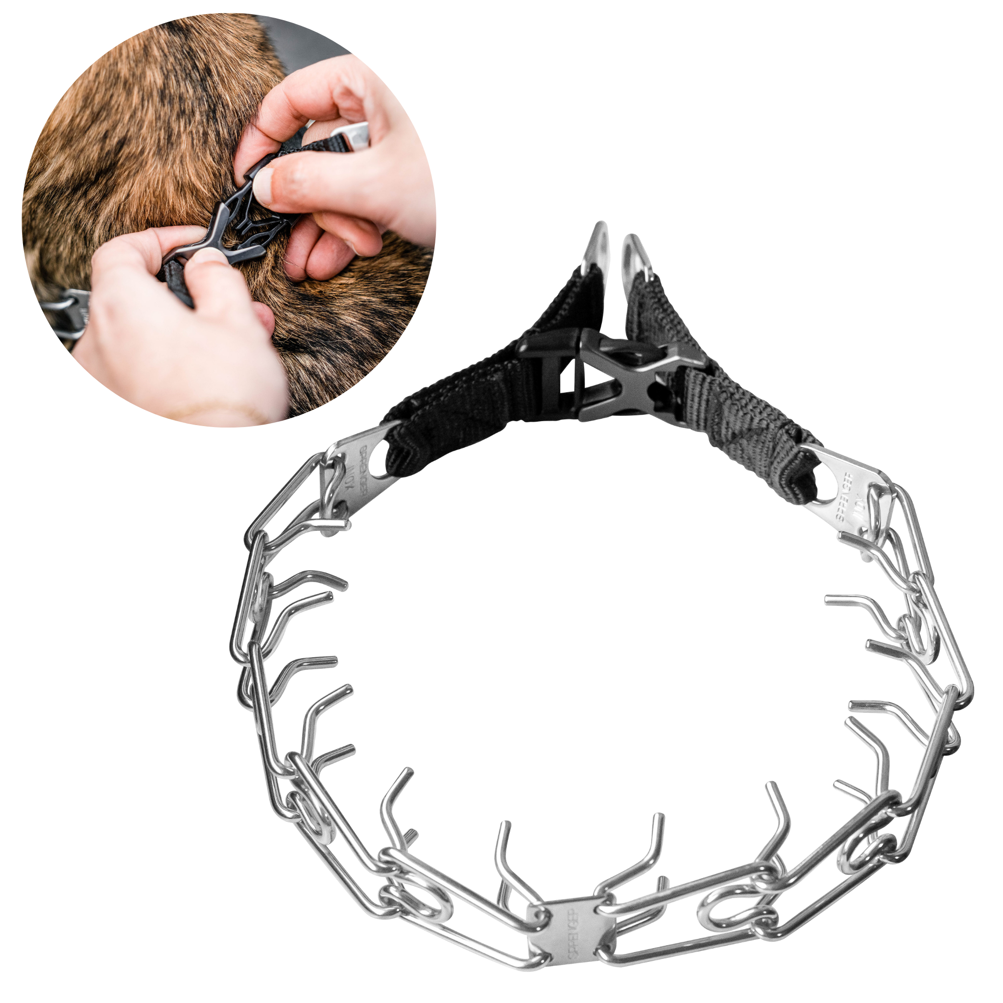 ULTRA-PLUS Training Prong Collar with Center-Plate & Spyder Buckle - Stainless Steel