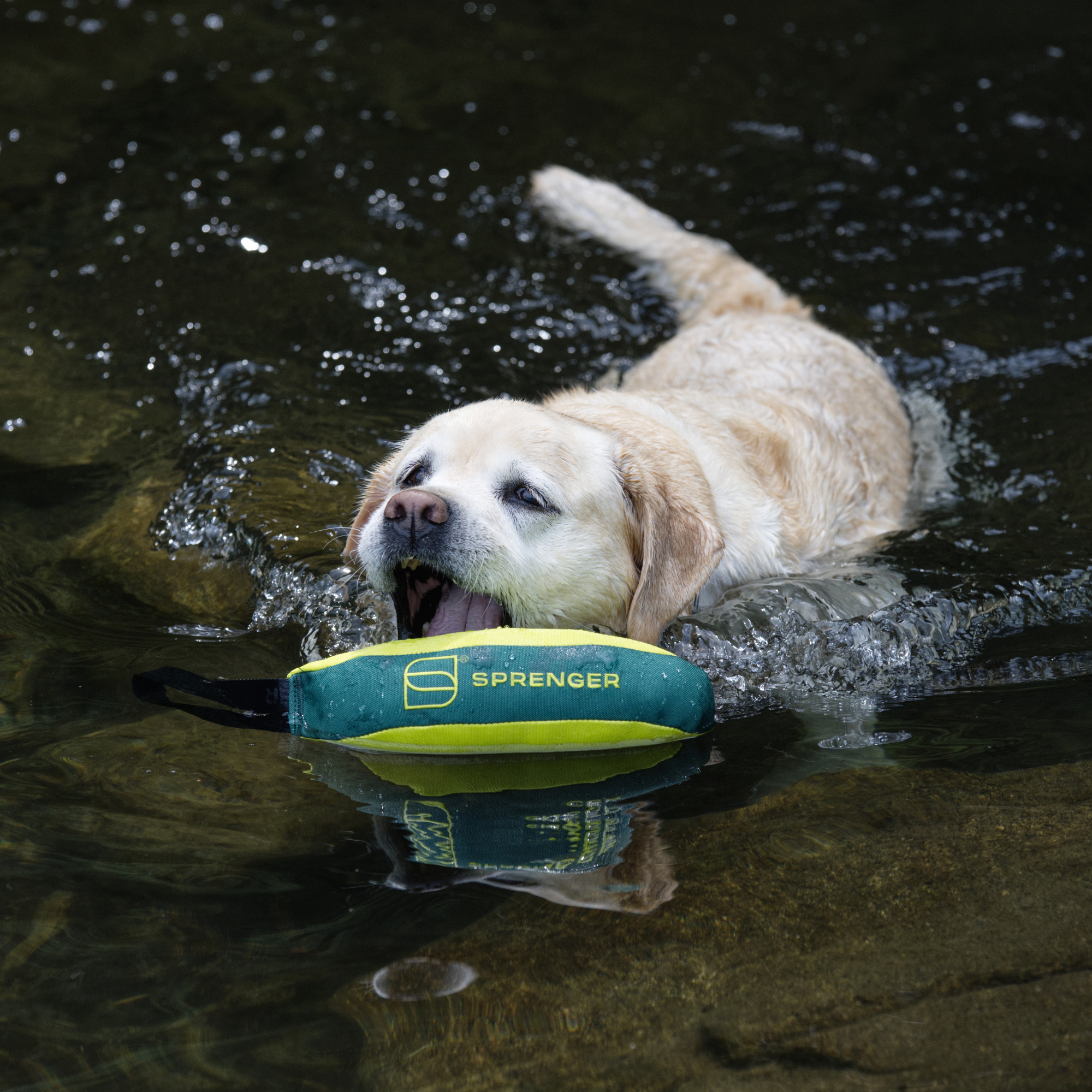 SPRENGER Floatable Tug Toy