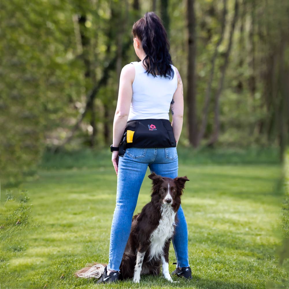 IQ Dogsport Multifunction Unisex Belt - Black