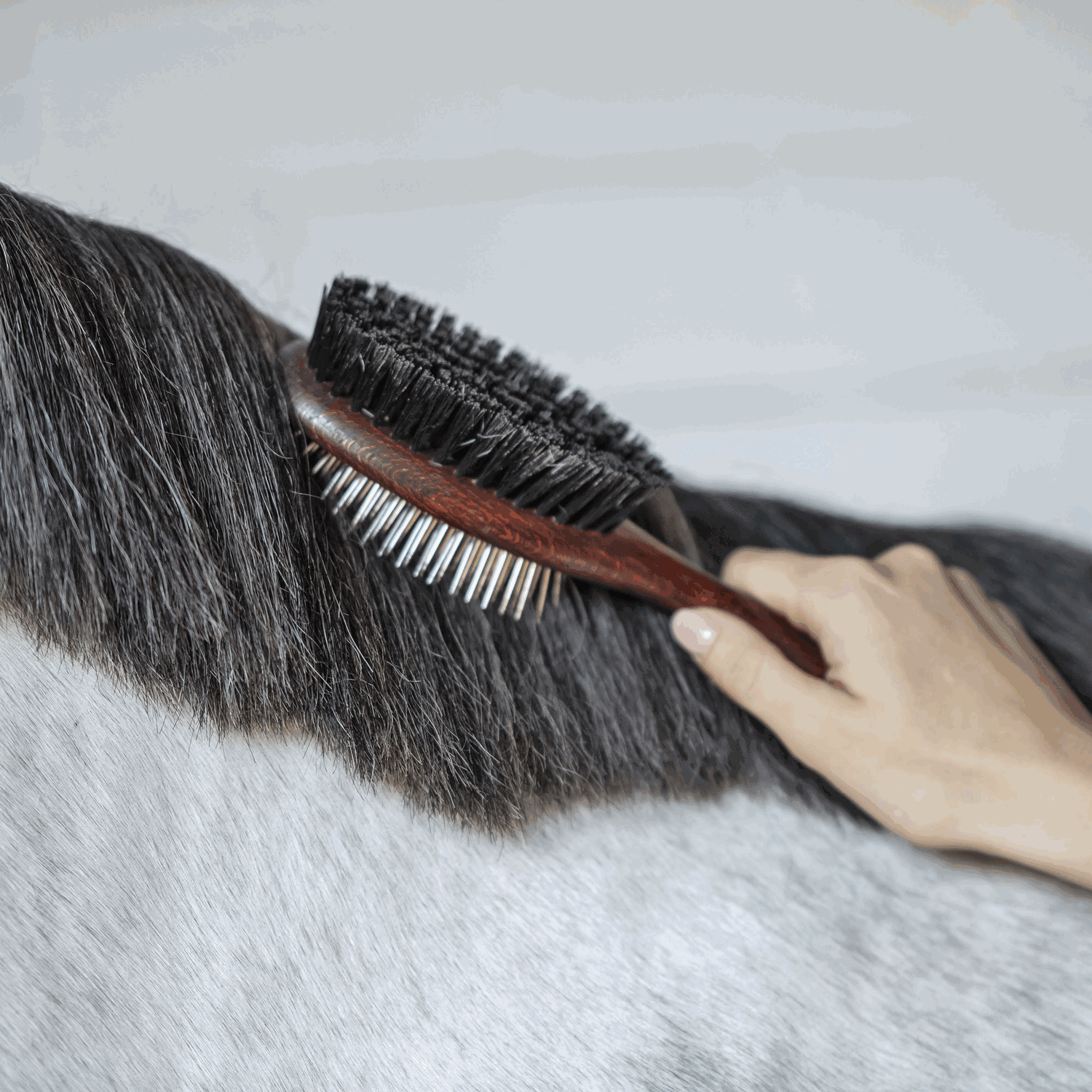 HS Mane Brush (2-Sided)