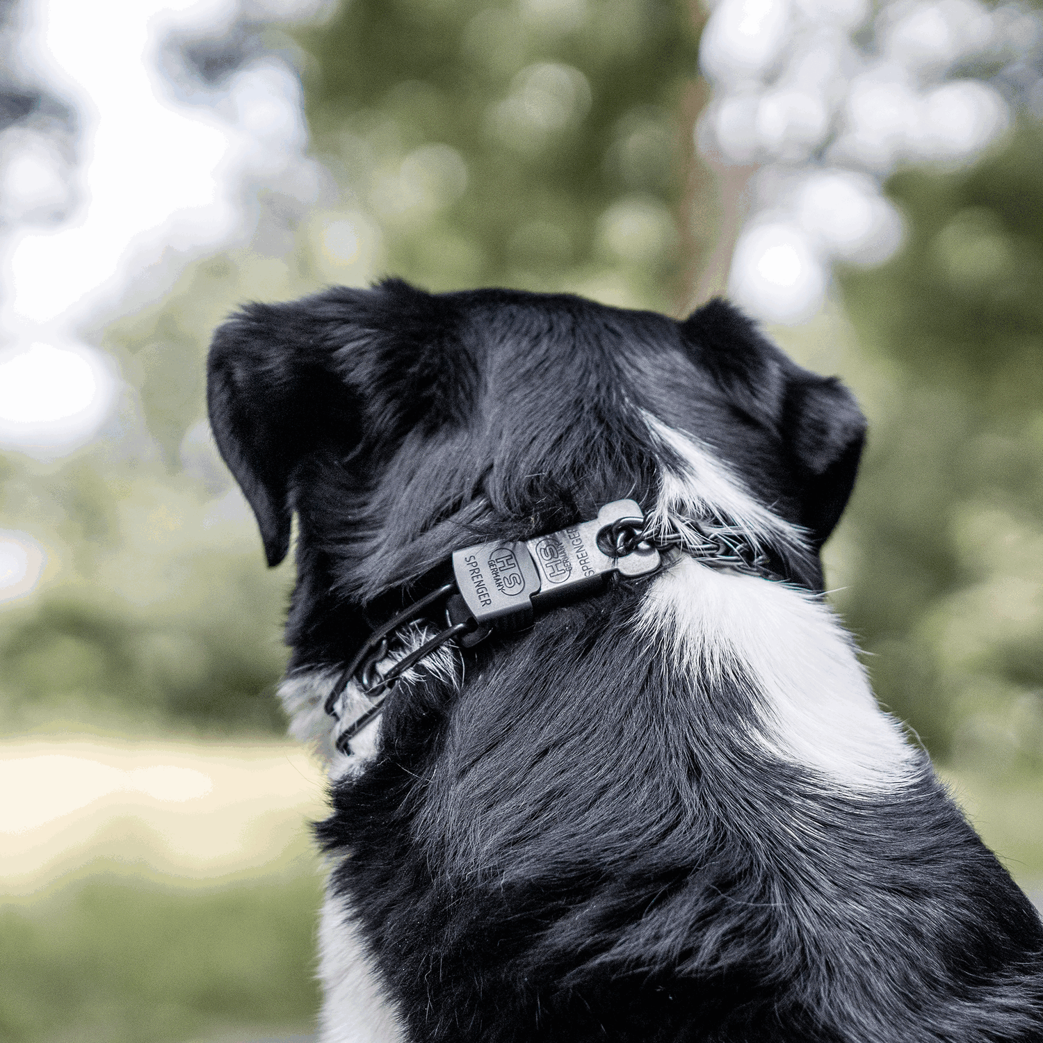 ULTRA-PLUS Training Collar with Center-Plate, Assembly Chain, and ClicLock - Stainless Steel Black