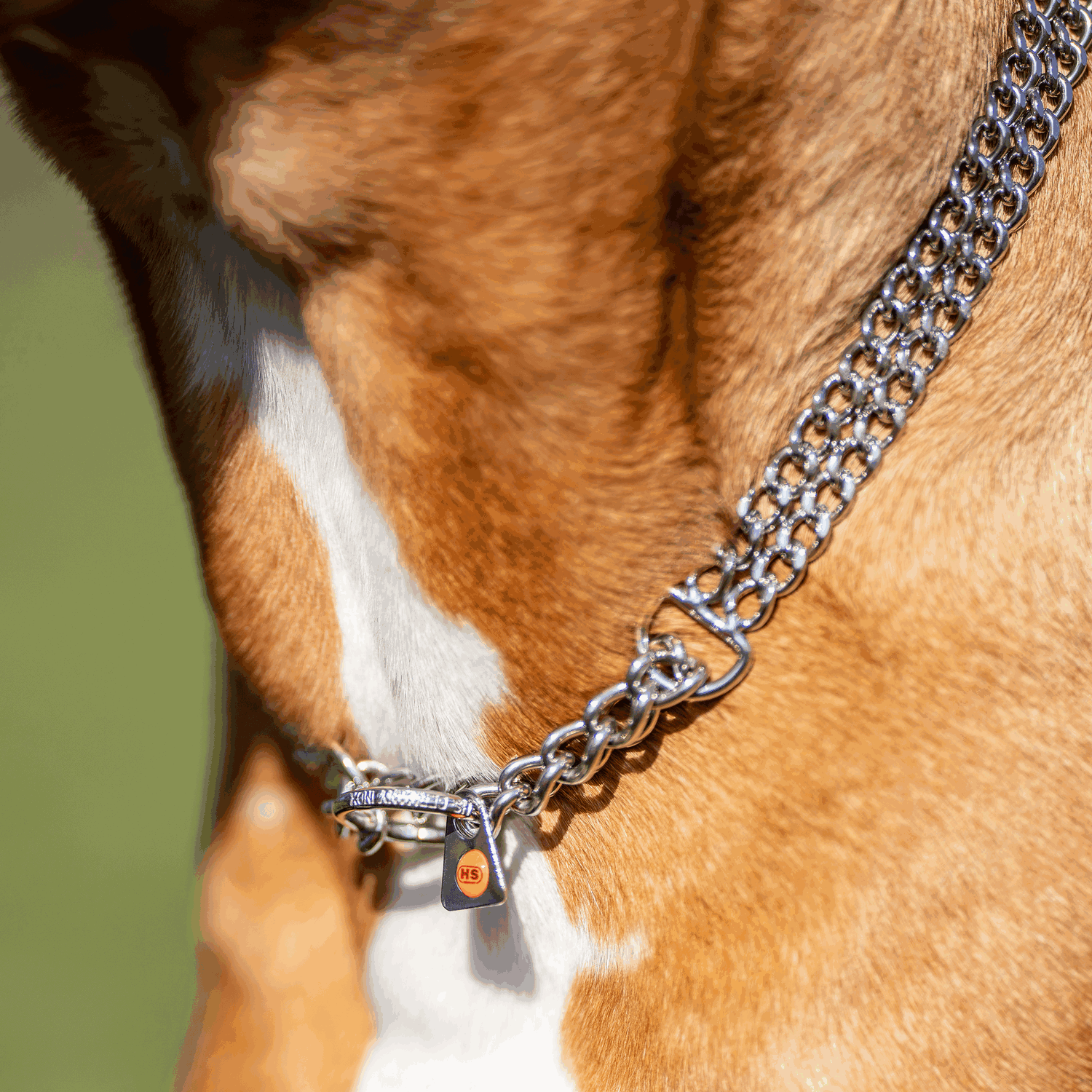 Twin Row Martingale Collar 2mm