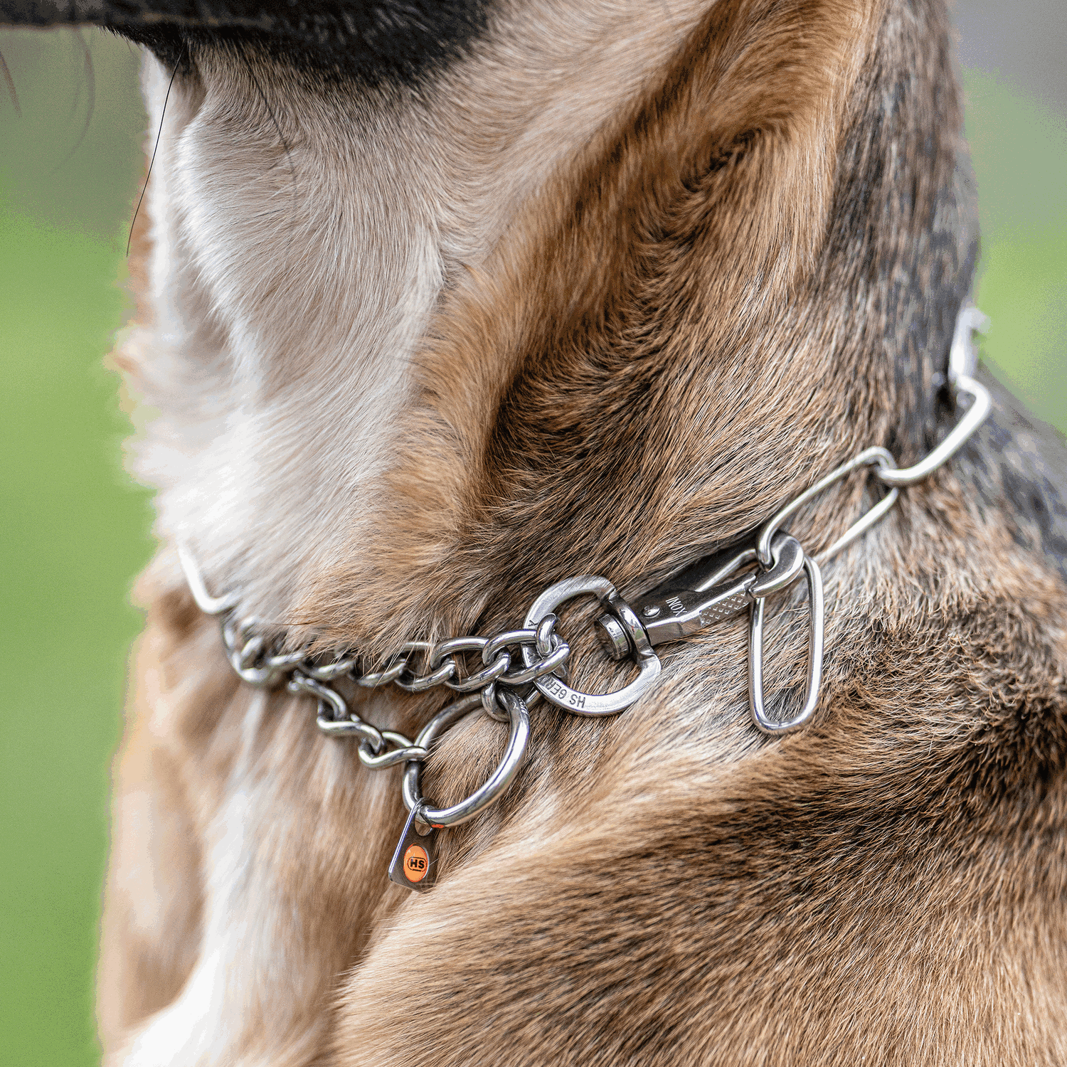 Adjustable Long Link Chain Collar - Stainless Steel, 3.0mm Wire Gauge