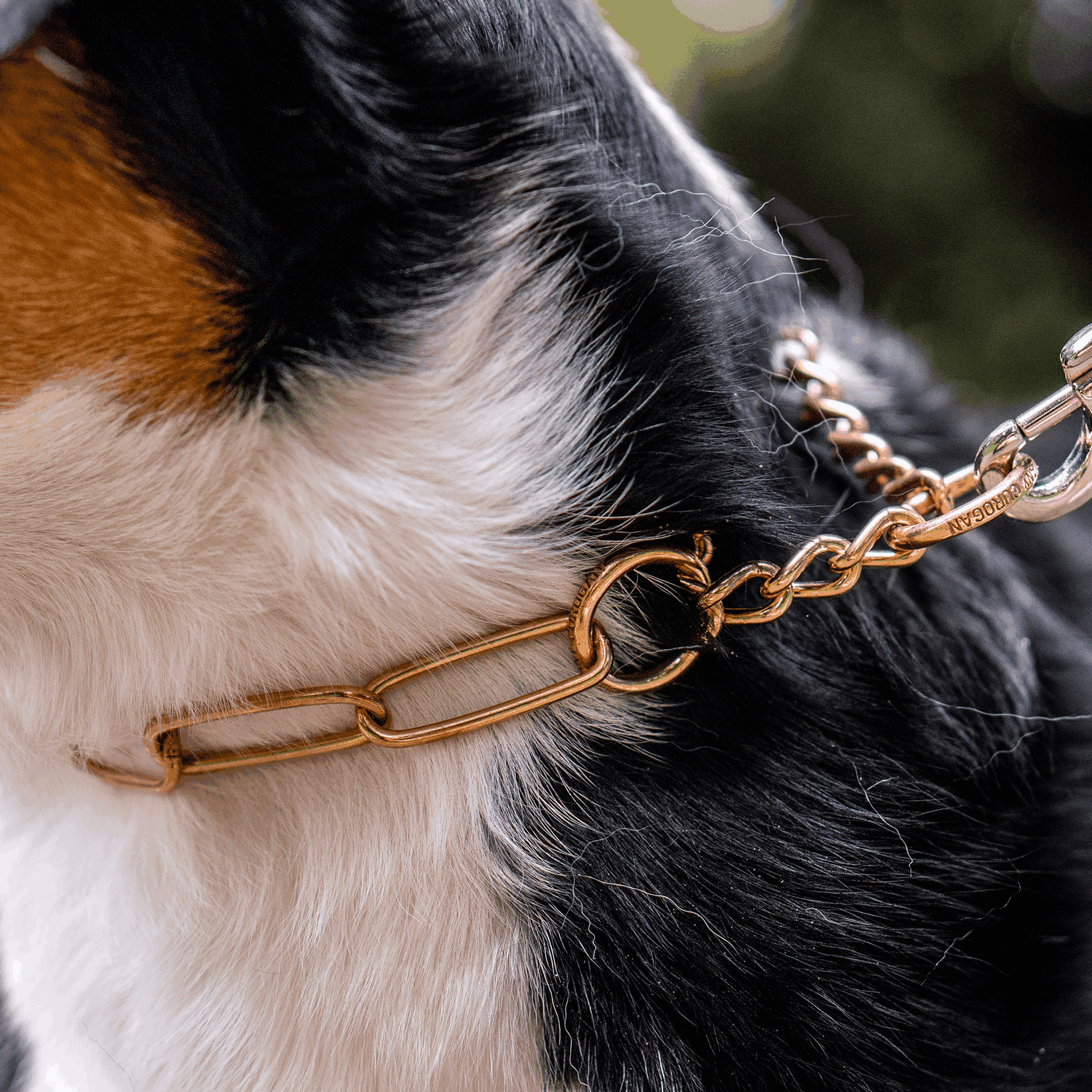 Long Chain Link Collar with Assembly Chain - 4mm