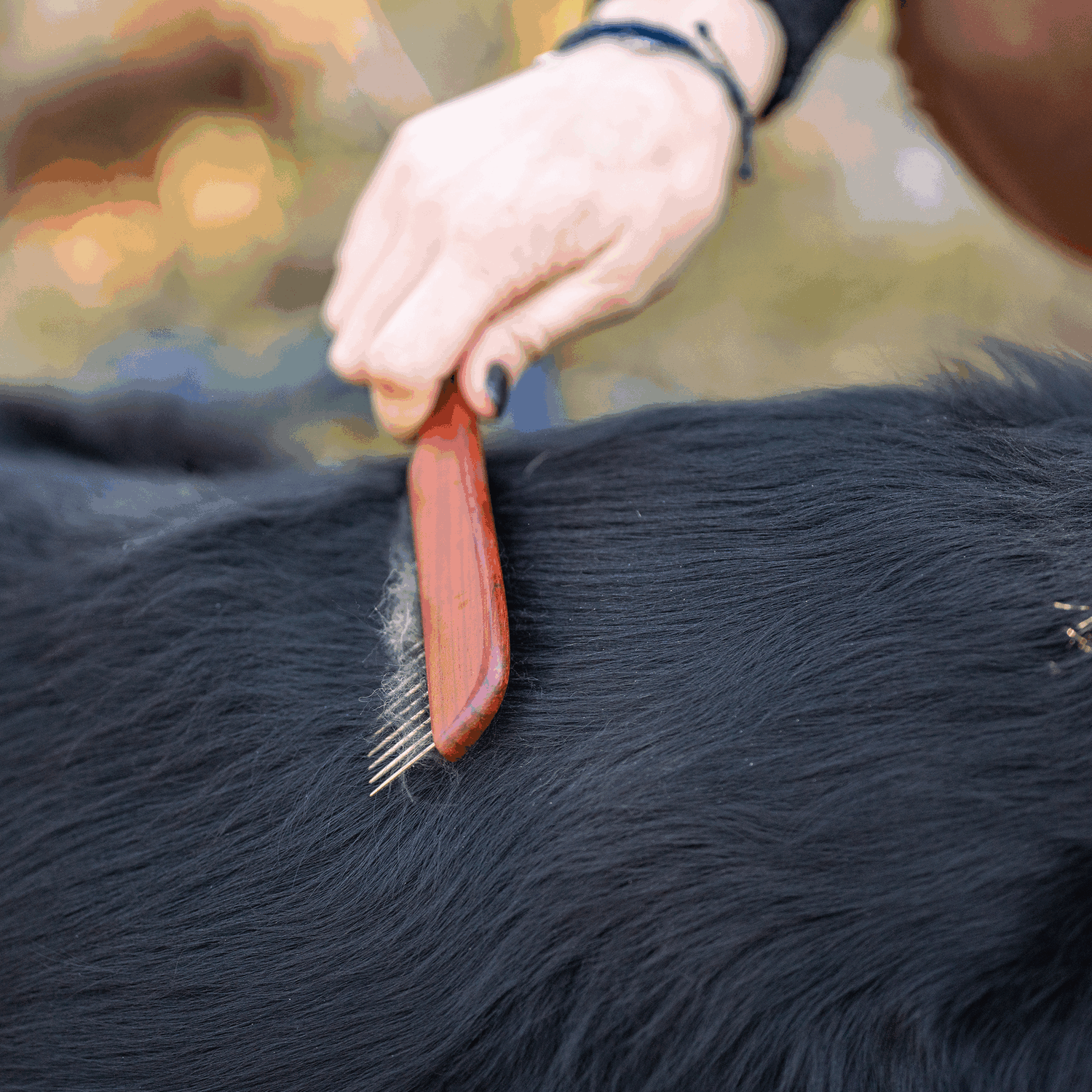 Dog Comb - Wood Handle