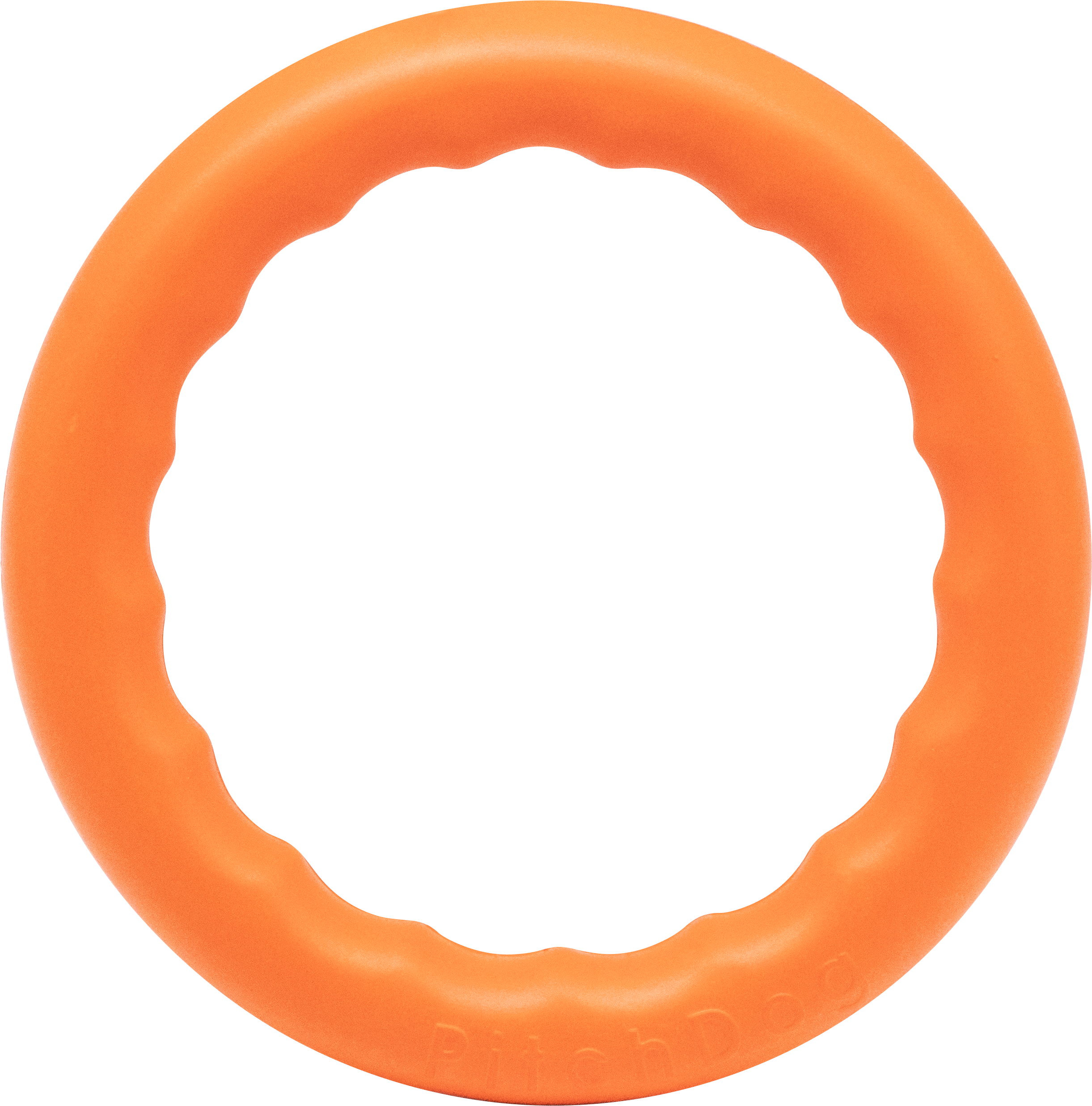 Floatable Ring Toy