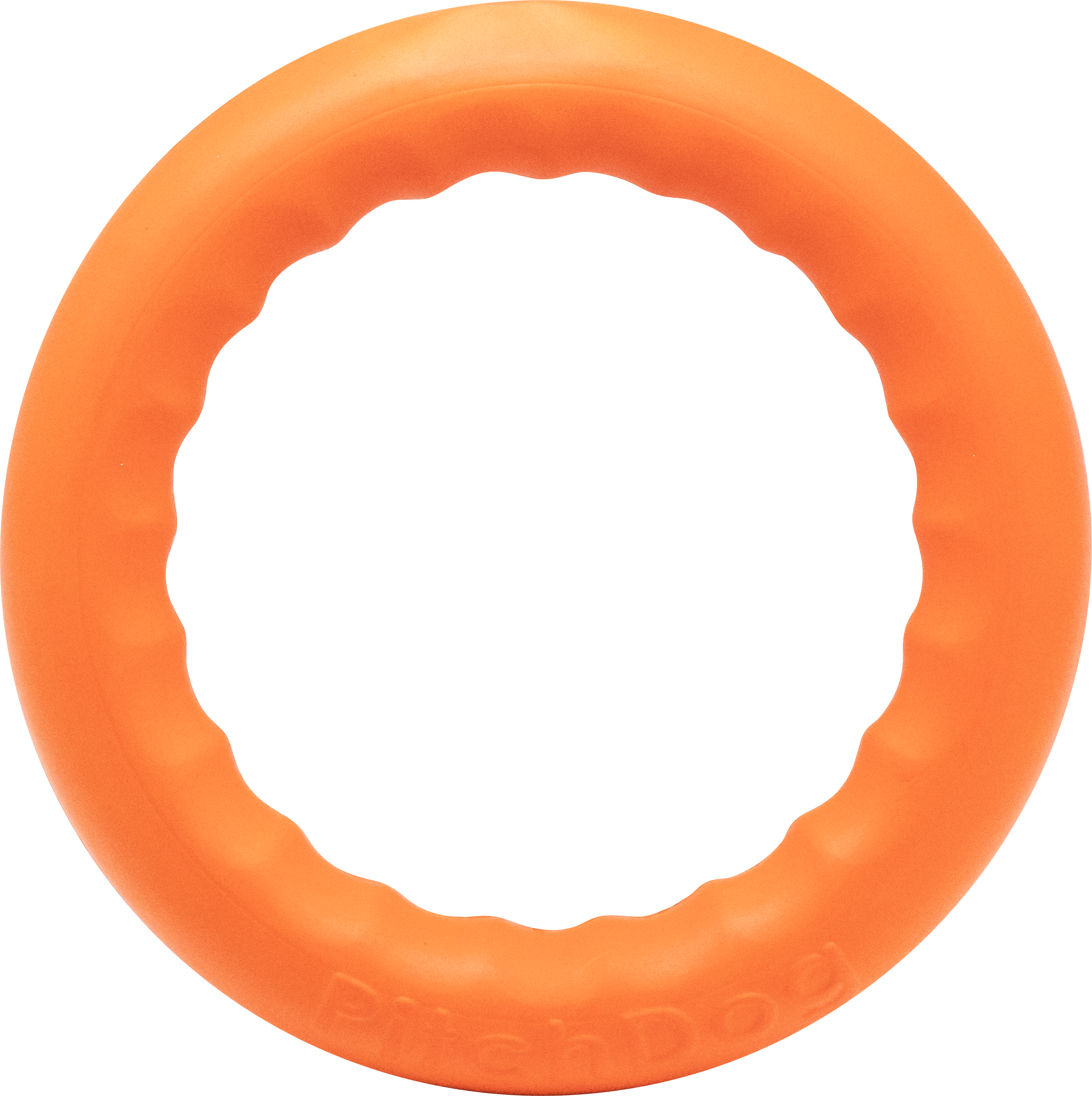 Floatable Ring Toy