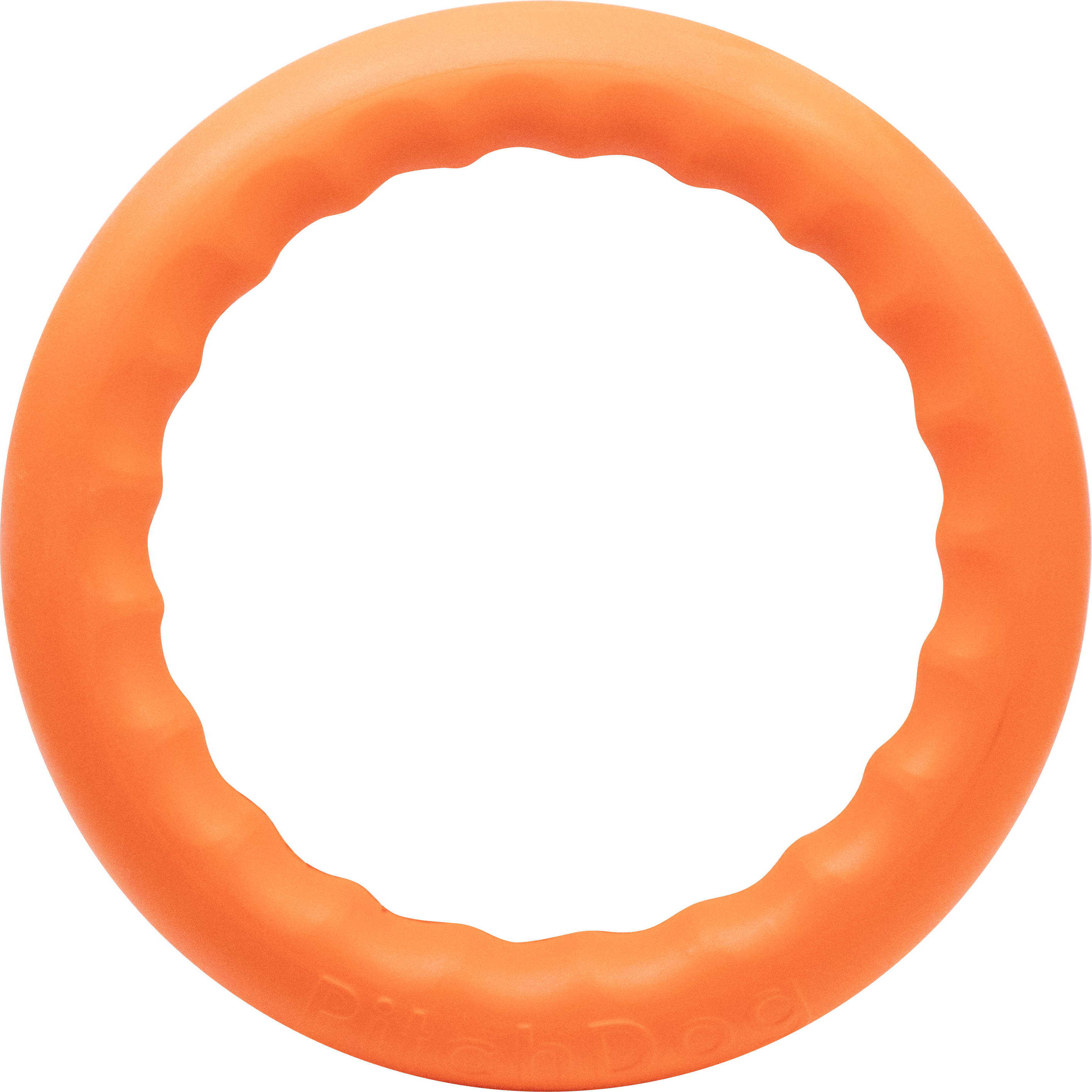 Floatable Ring Toy