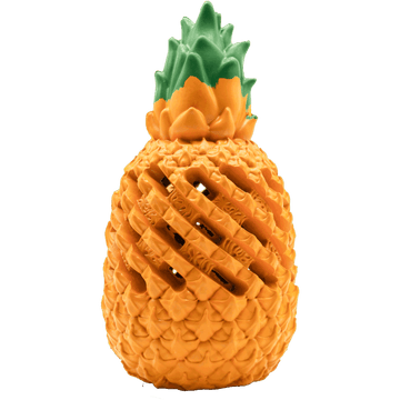 Pineapple Dog Toy