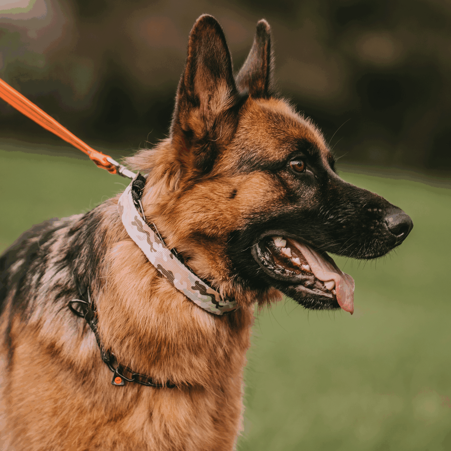 ULTRA-PLUS Training Collar Cover - Camouflage