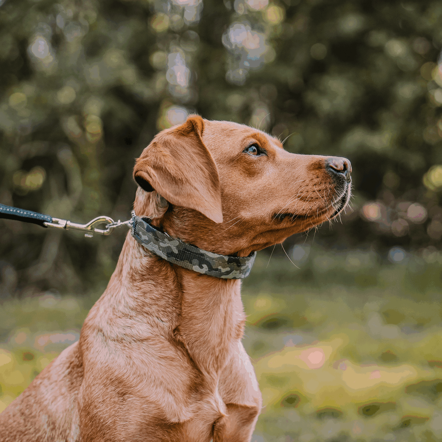 ULTRA-PLUS Training Collar Cover - Camouflage