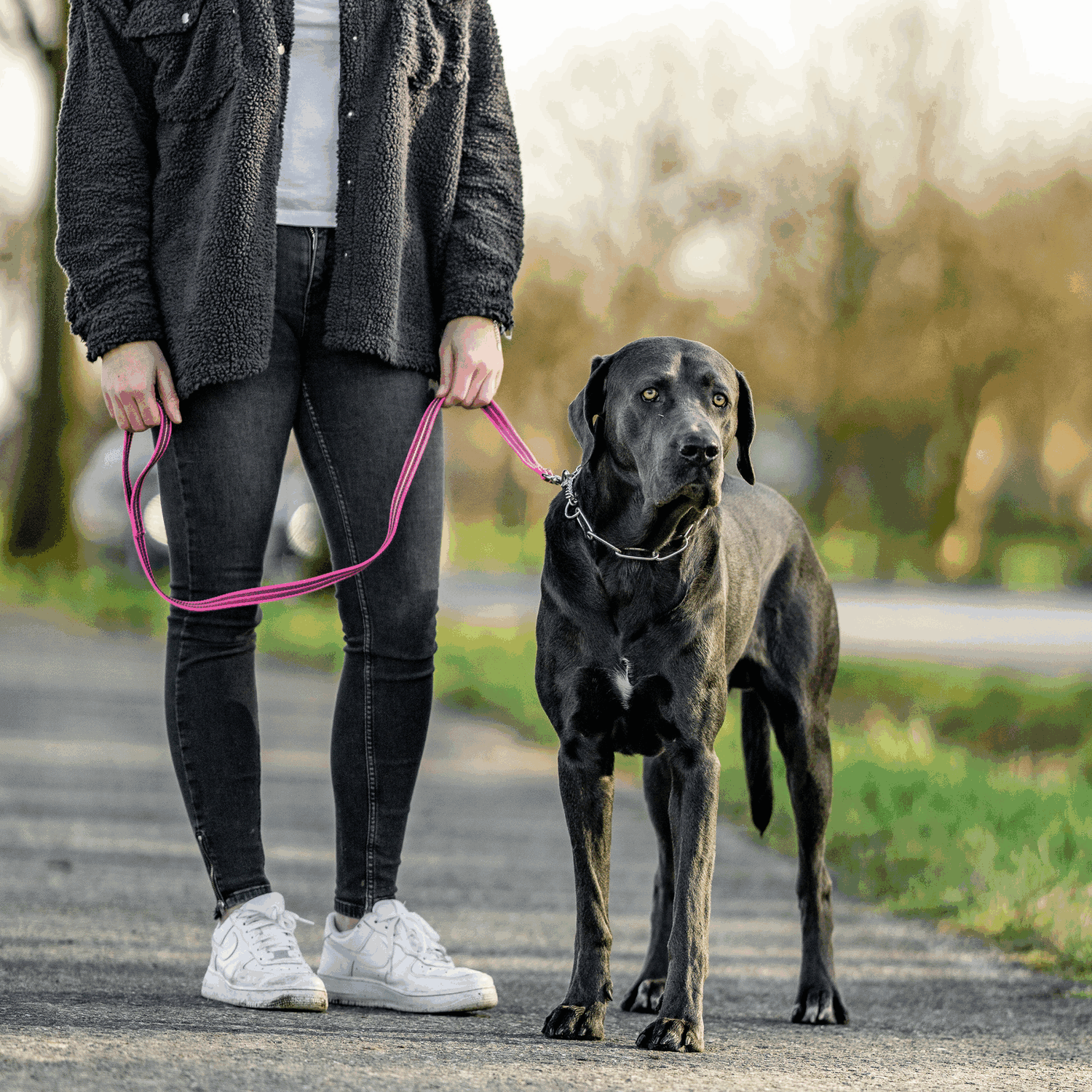 Rubberized Nylon Leash with Hand Strap