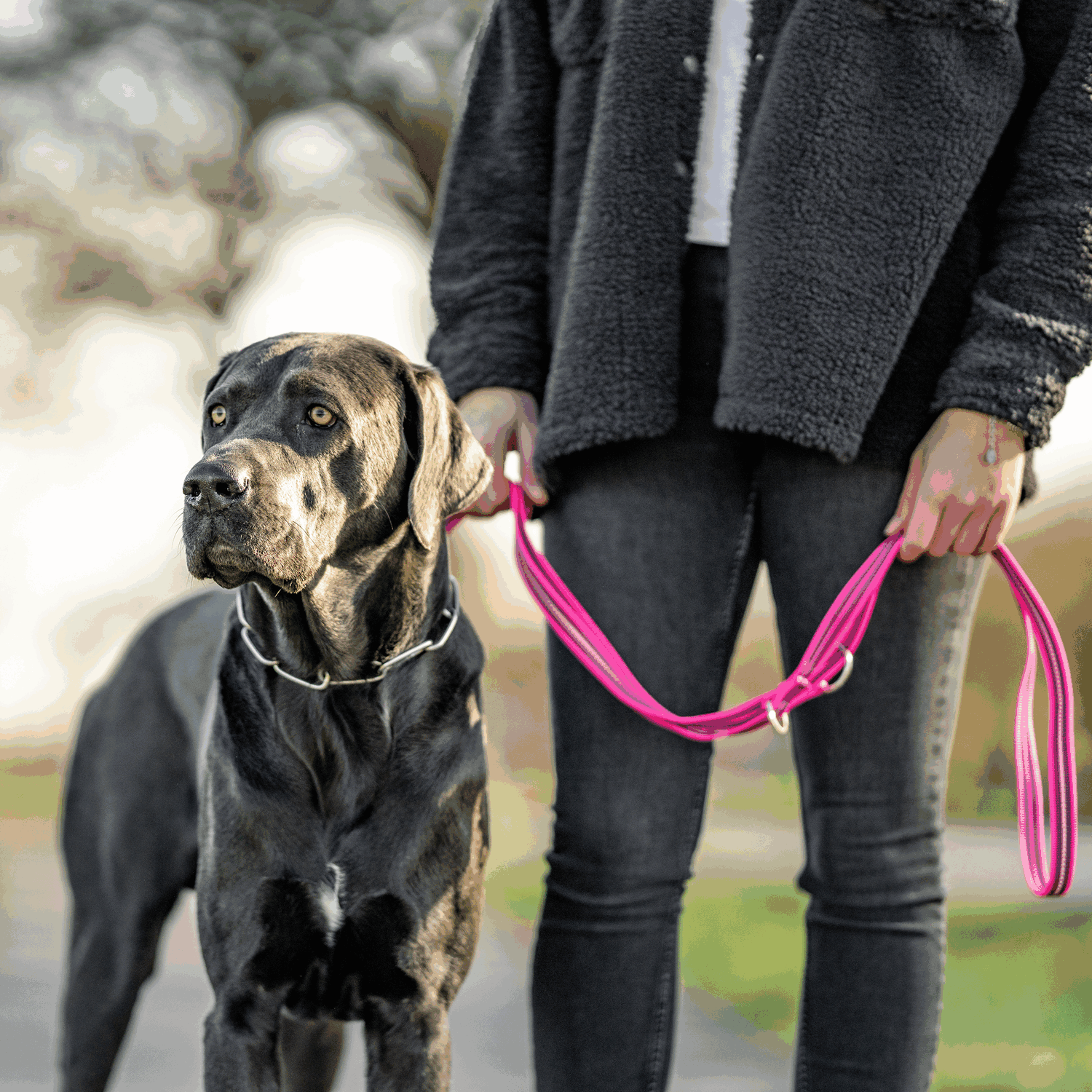 Rubberized Nylon Leash with 3-Fold Adjustability