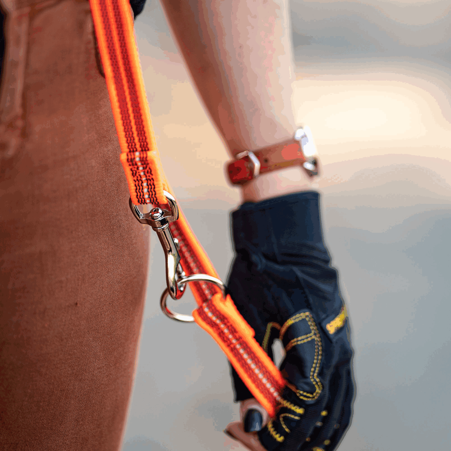 Rubberized Nylon Leash with 3-Fold Adjustability