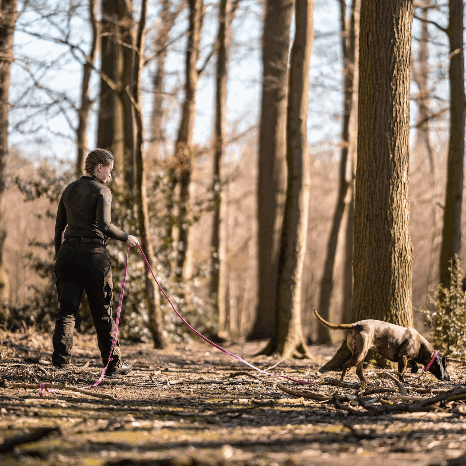 Rubberized Nylon Tracking Leash (No Hand Strap)